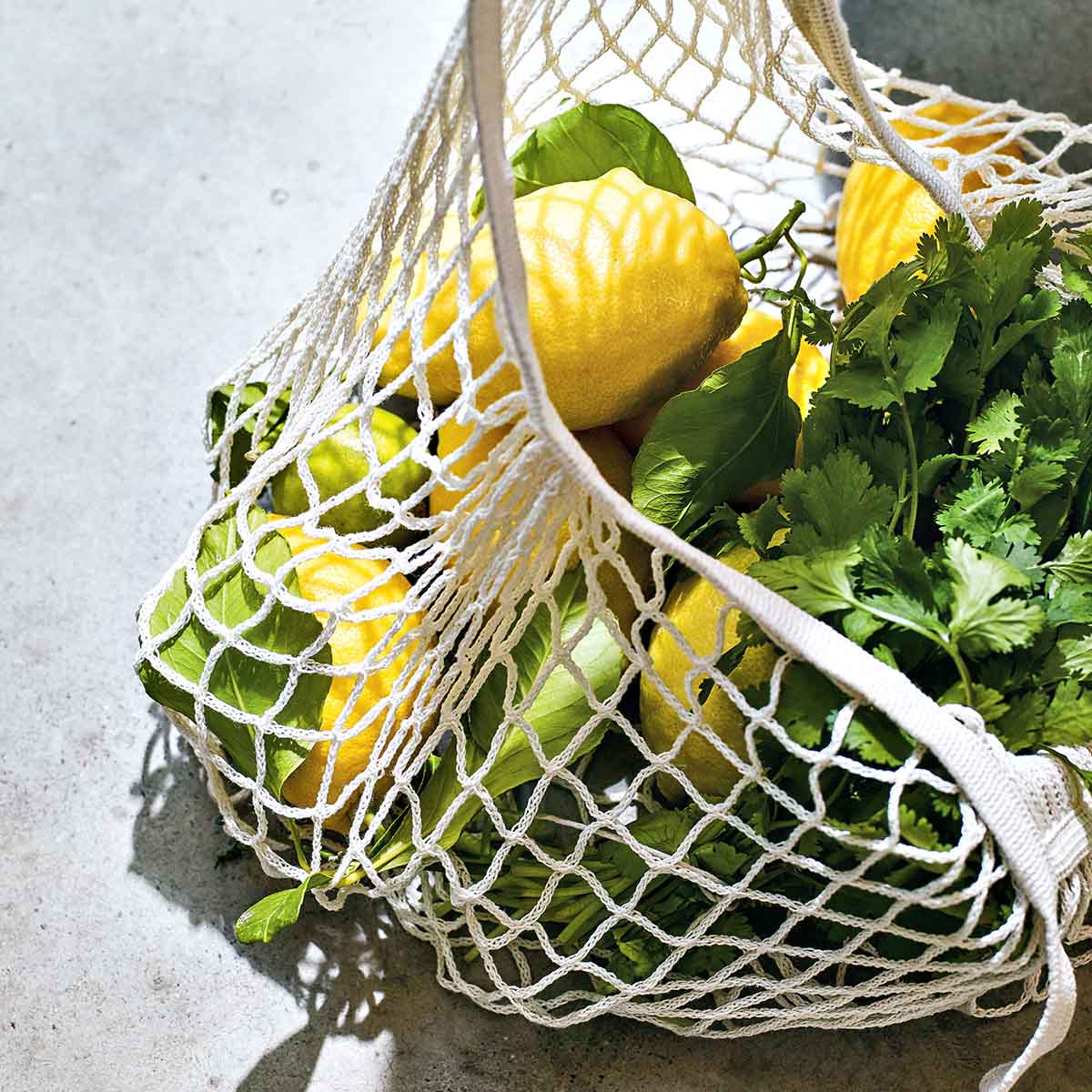 Cult Collection-Citron & Coriander Shower Gel - 250ml