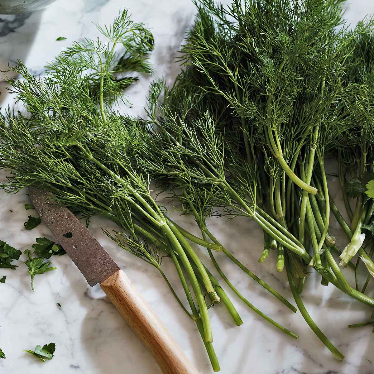 Cult Collection-Gardeners Hand Cream - 250ml