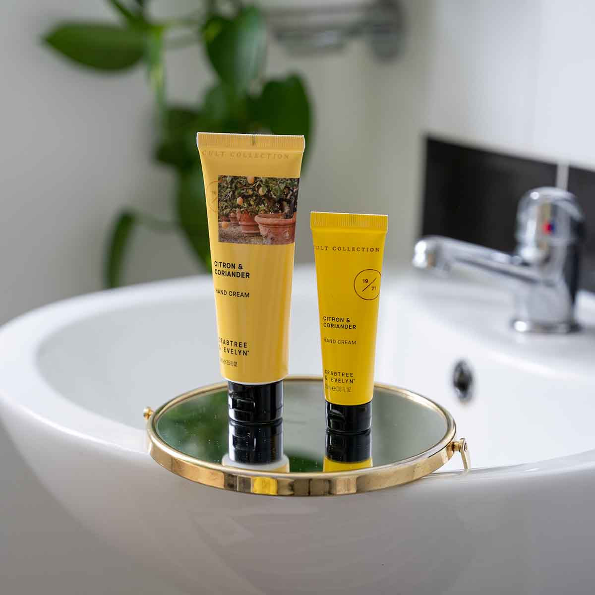 Cult Collection-Citron &amp; Coriander Hand Cream - 75ml