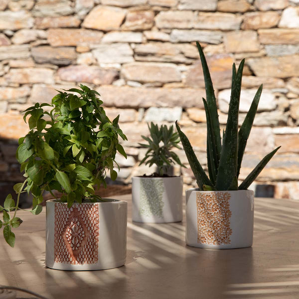 [Buy 1 Free 1] Ceramic Herb Planter - Sage Green